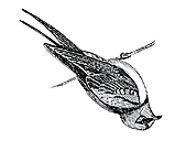 The Secret History of Urban&nbsp;Outfitters